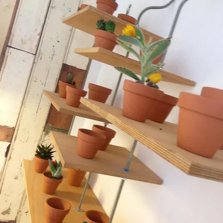 De La Pinede מלון