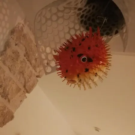 De La Pinede מלון