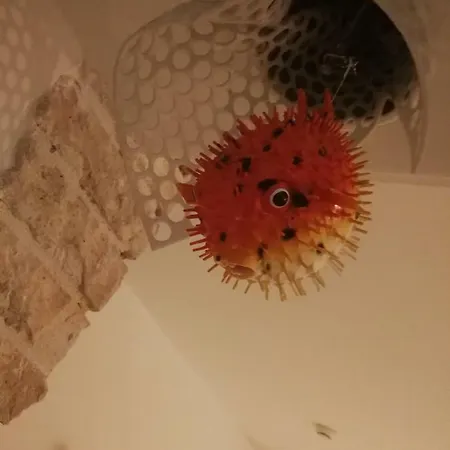 オテル デ ラ ピネード ホテル